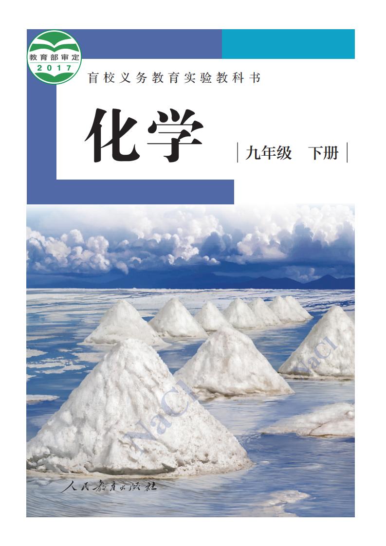 盲校义务教育实验教科书 化学 九年级 下册（供低视力学生使用）PDF电子书电子版下载