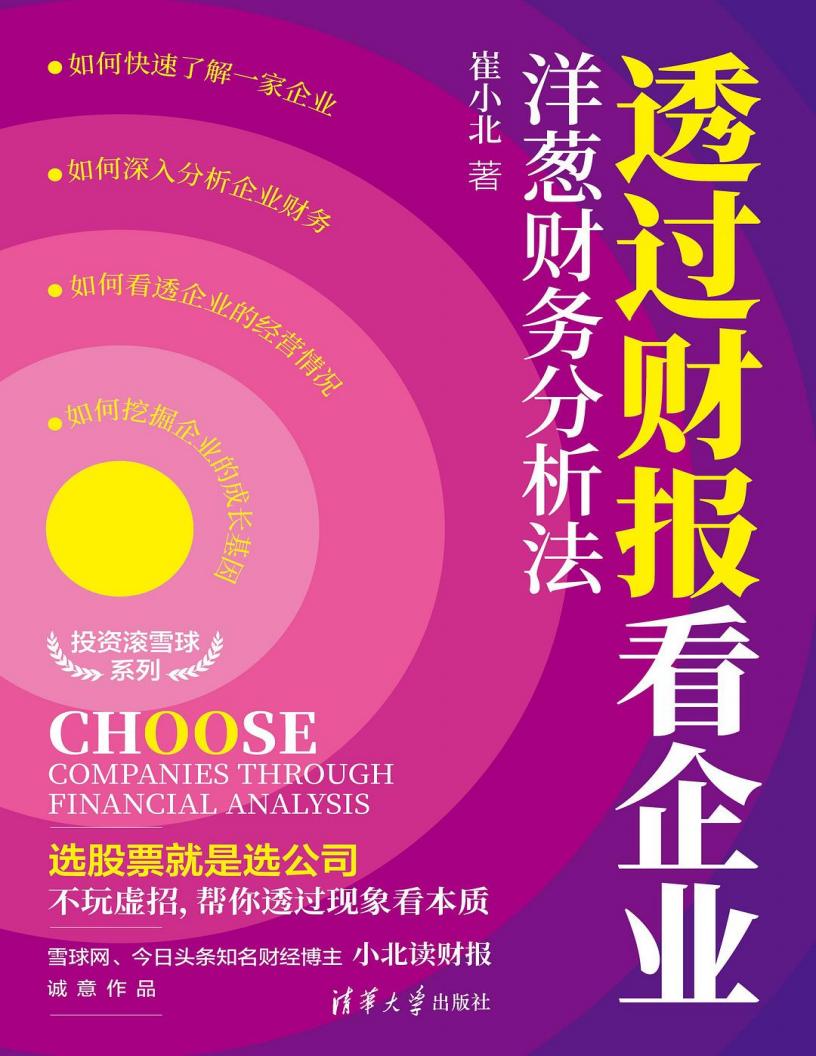 透过财报看企业洋葱财务分析法(投资滚雪球系列) (崔小北) (z-library.sk, 1lib.sk, z-lib.sk)_01.jpg