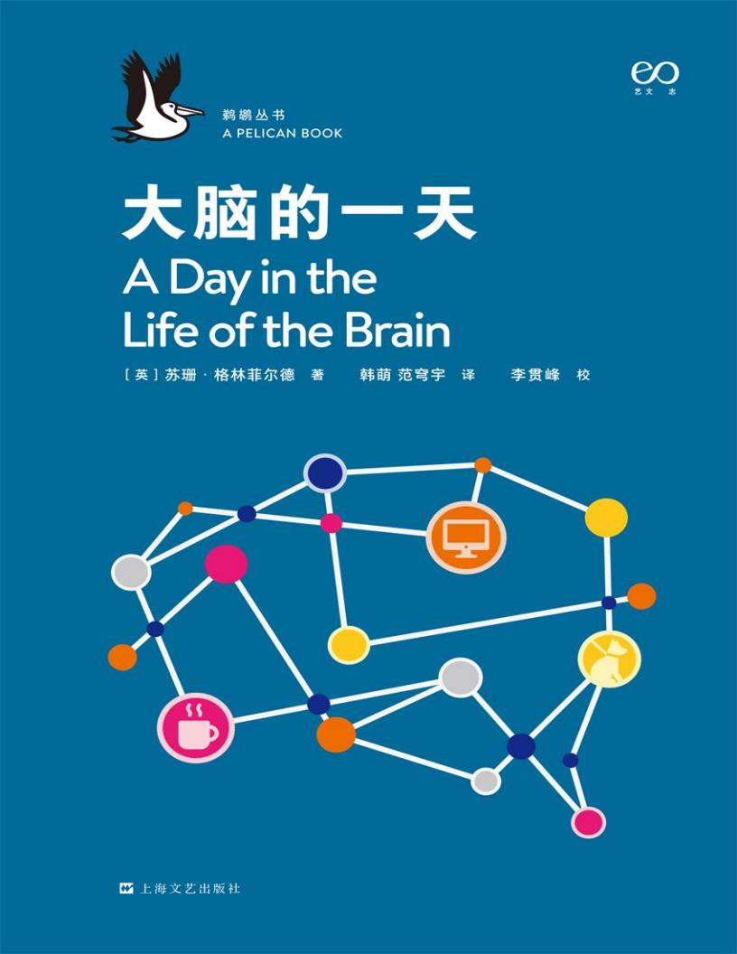 大脑的~1.JPG 大脑的~1.JPG