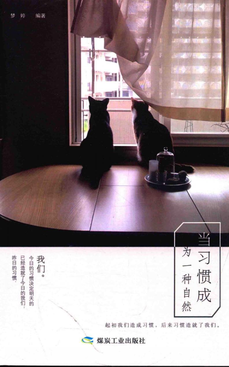 当习惯成为一种自然 (梦婷编著) PDF电子书电子版下载
