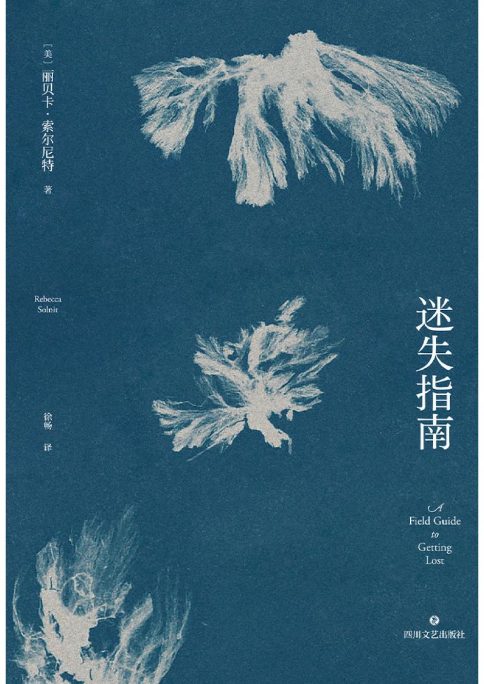 迷失指南 ([美]丽贝卡·索尔尼特) (z-library.sk, 1lib.sk, z-lib.sk)_01.jpg