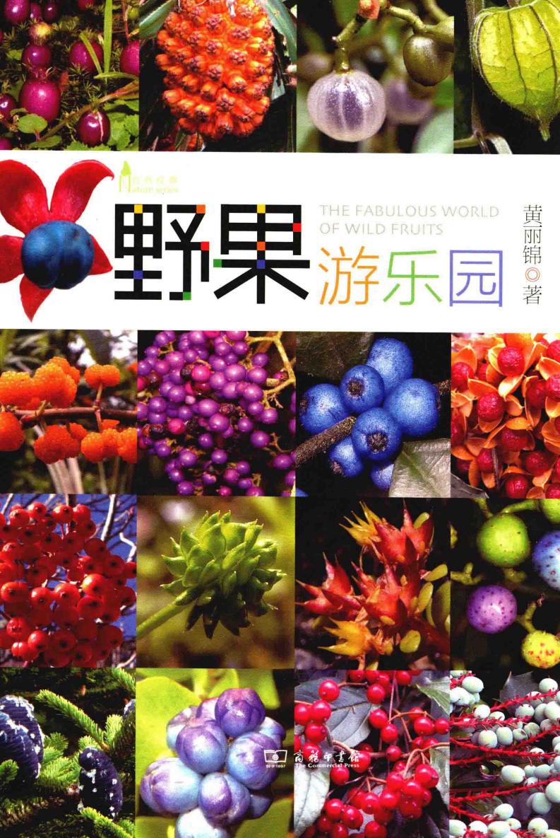 自然观察 野果游乐园 (黄丽锦著, 黄丽锦, author, 黄丽锦 (女)) (z-library.sk, 1lib.sk, z-lib.sk)_01.jpg