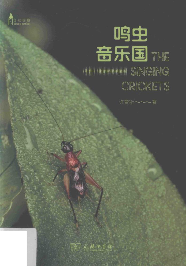 自然观察丛书 鸣虫音乐国 (许育衔, 许育衔, (1968-), 许育衔著, 许育衔, Yuxian Xu) (z-library.sk, 1lib.sk, z-lib.sk)_01.jpg