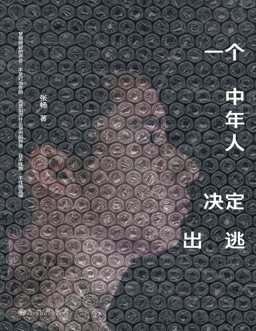 一个中年人决定出逃 [转换版] (张畅) (z-library.sk, 1lib.sk, z-lib.sk)_01.jpg