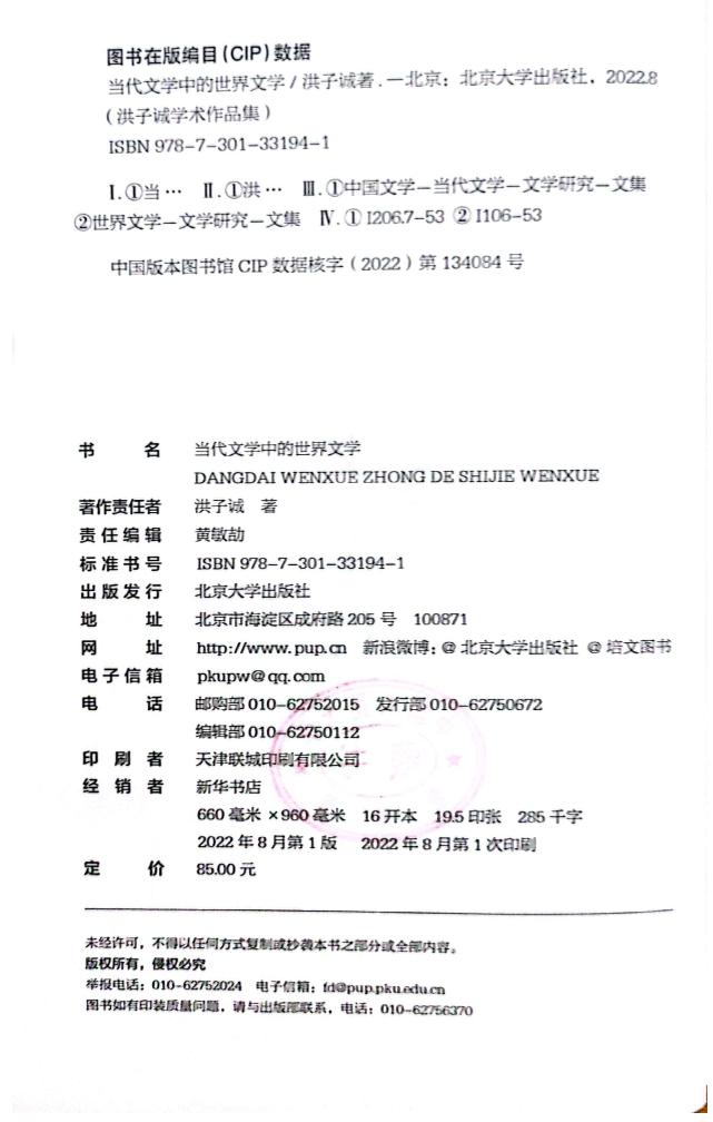 当代文学中的世界文学【缺172-173页】 (洪子诚) (z-library.sk, 1lib.sk, z-lib.sk)_01.jpg