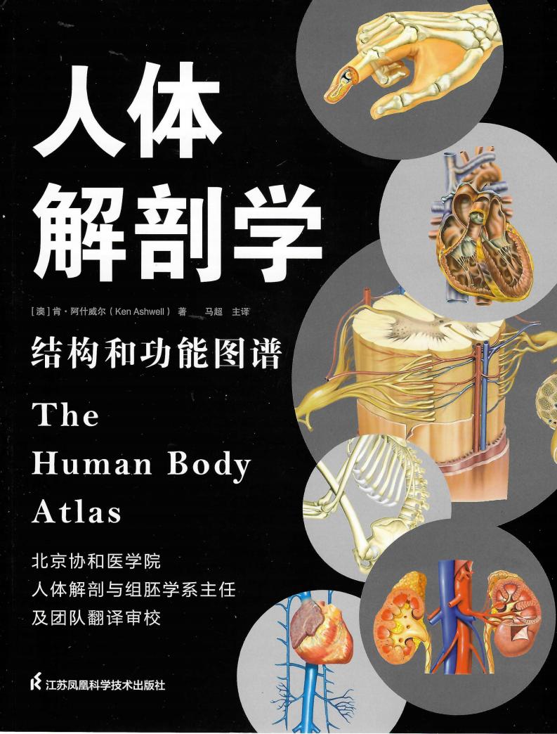 人体解剖学结构和功能图谱 (肯·阿什威尔,马超) (z-library.sk, 1lib.sk, z-lib.sk)_01.jpg